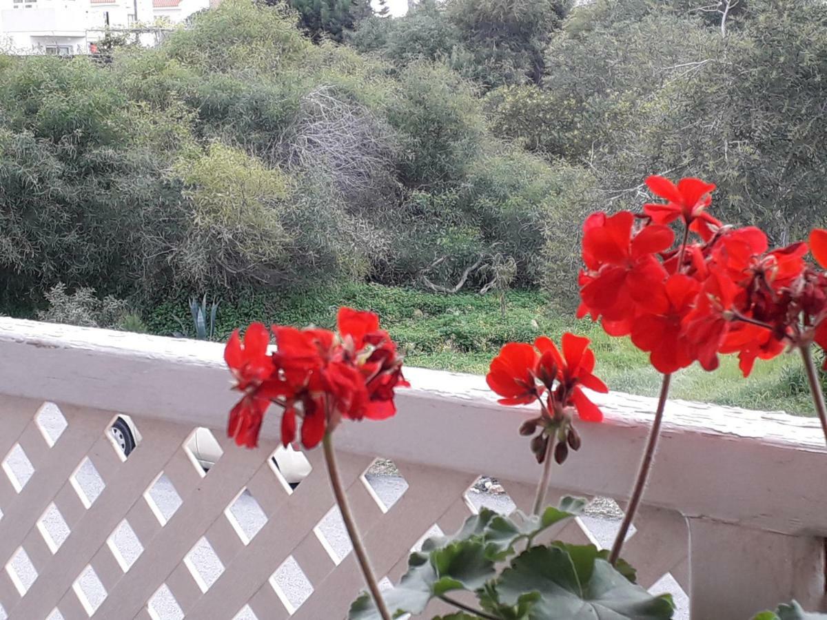Protaras Happy Sunny Holidays Paralimni Luaran gambar